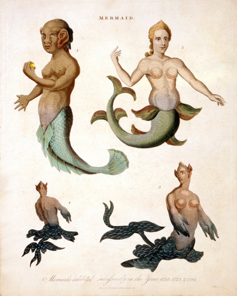 人魚、百科事典Londinensis、1817色の彫刻